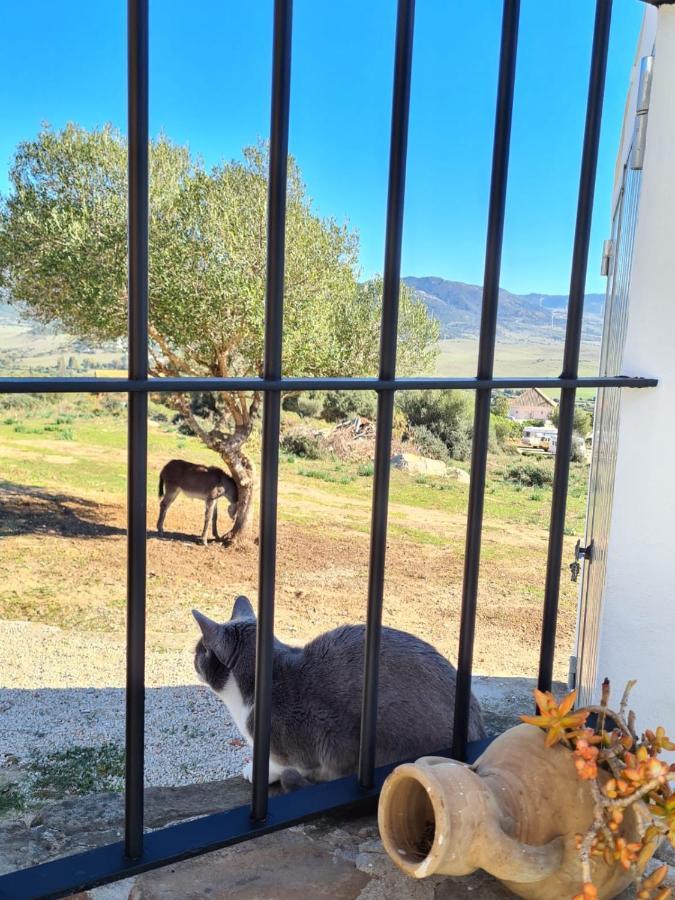 הוילה Rancho Blanco Tarifa La Pena מראה חיצוני תמונה